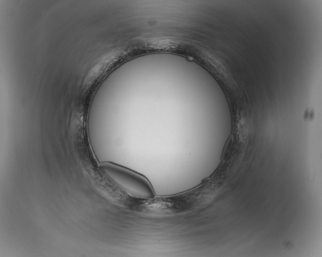 X0000115440407200911181528