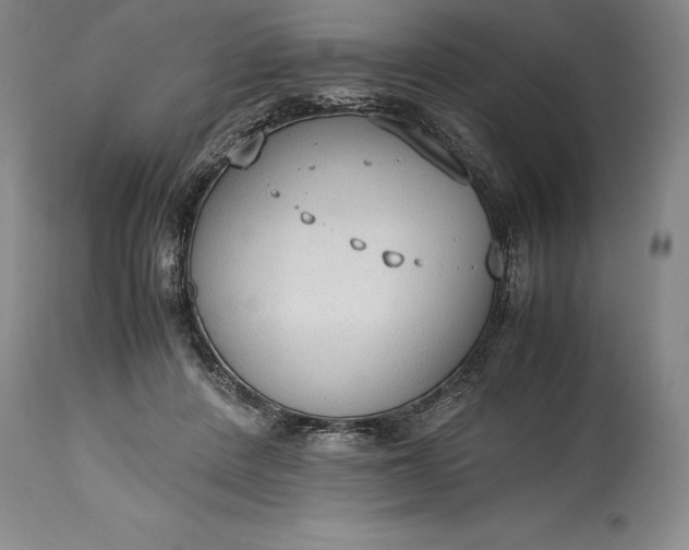 X0000115440408200911181528