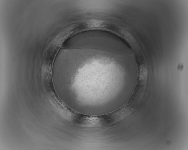 X0000115440409200911181528