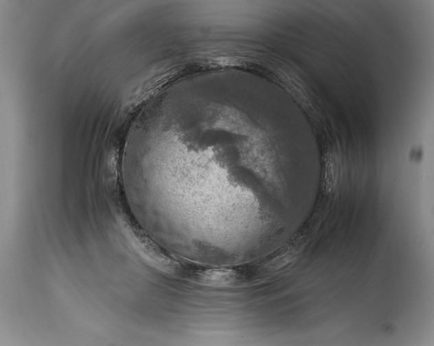X0000115440410200911181528