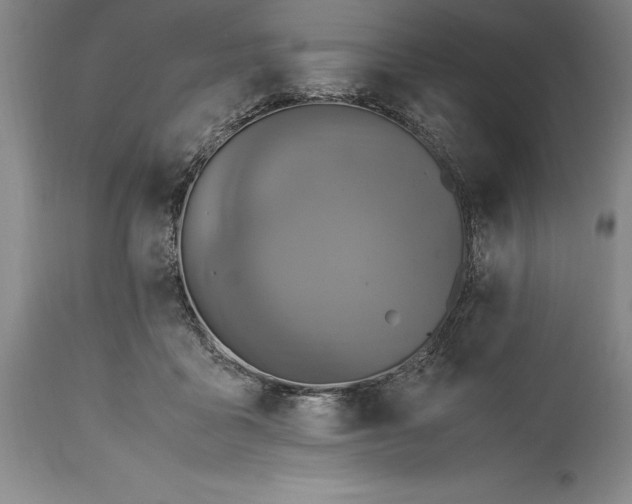 X0000115440411200911181528