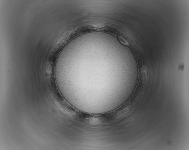 X0000115440412200911181528