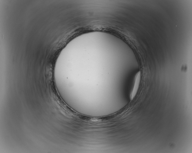 X0000115440413200911181528