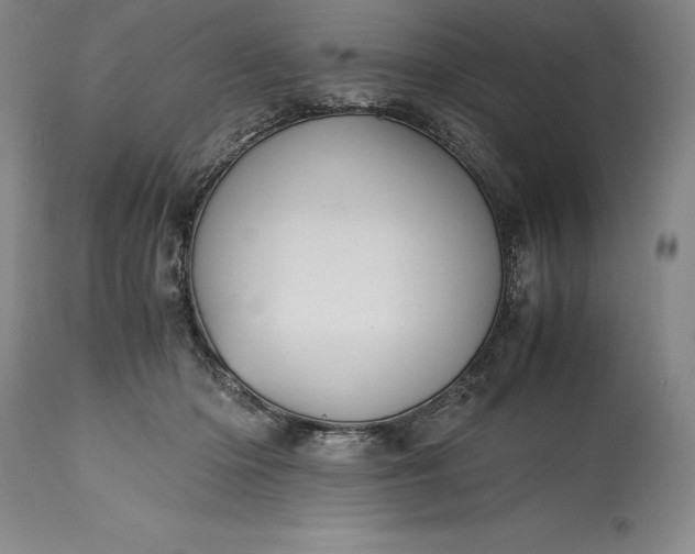 X0000115440414200911181528