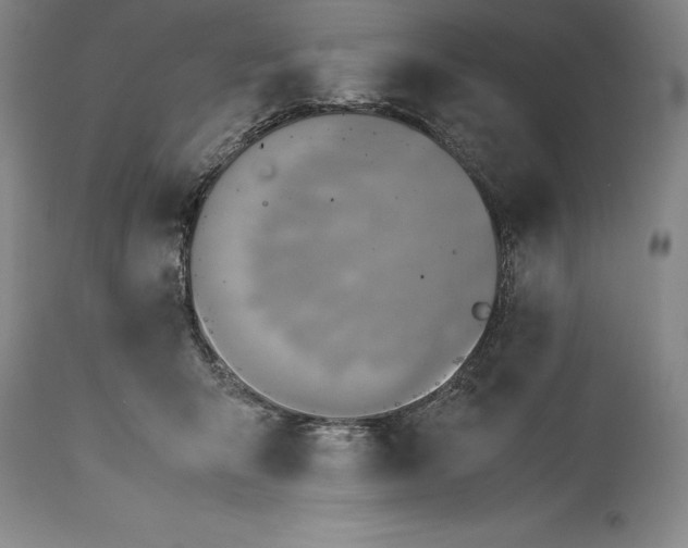 X0000115440415200911181528