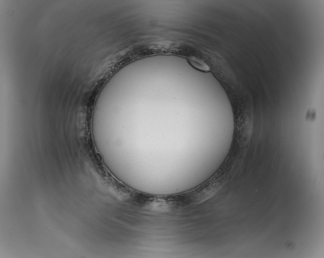 X0000115440416200911181528