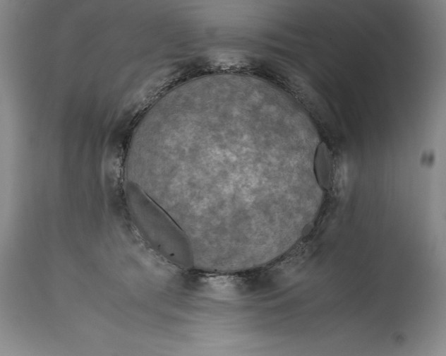 X0000115440417200911181528