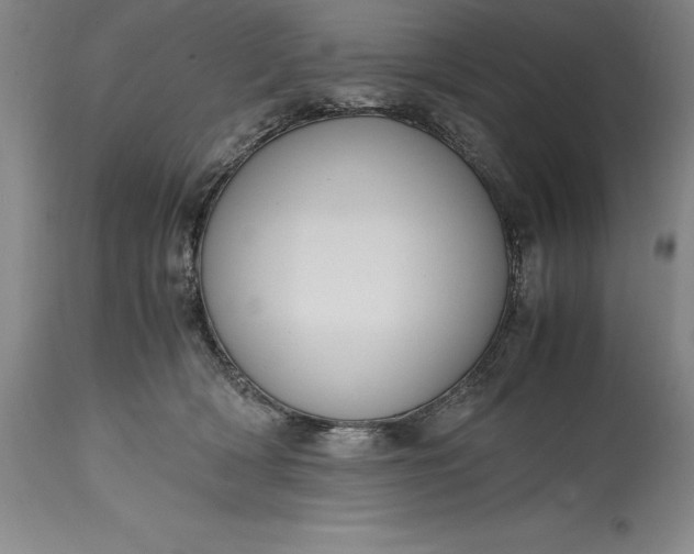 X0000115440418200911181528