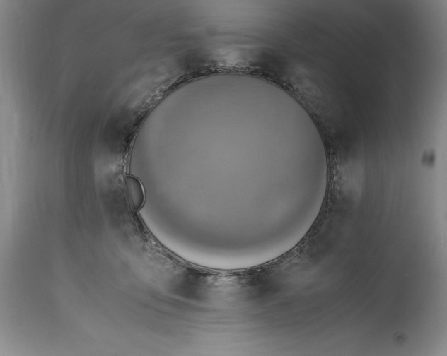 X0000115440419200911181528