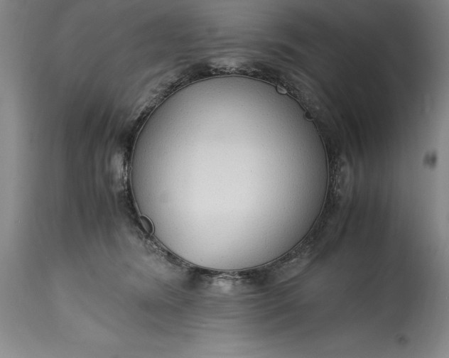 X0000115440420200911181528