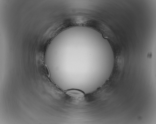 X0000115440421200911181528