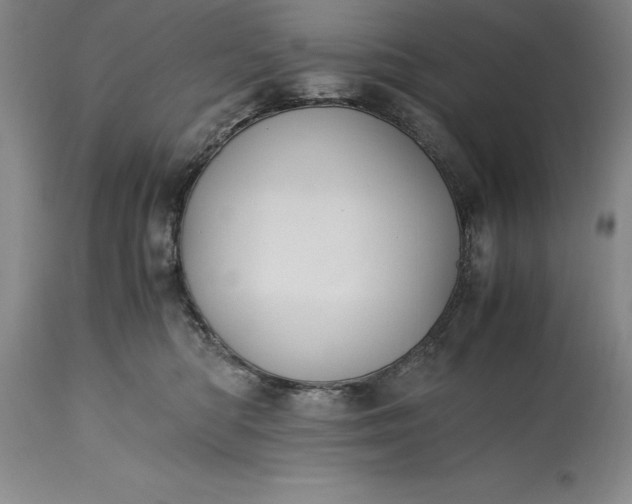X0000115440422200911181528