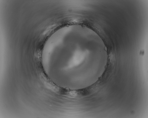 X0000115440423200911181528