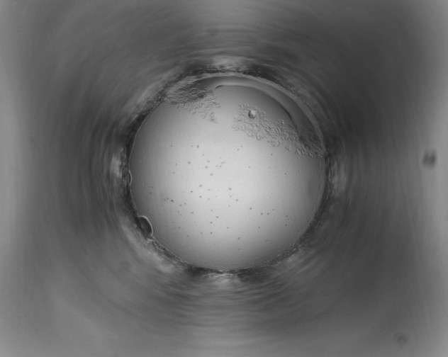 X0000115440424200911181528