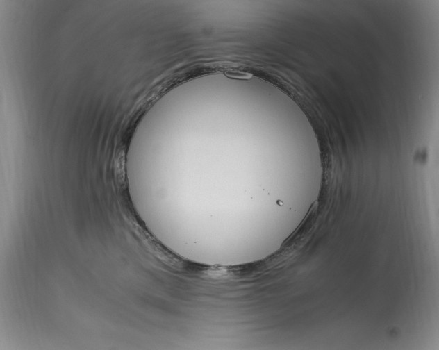 X0000115440425200911181528