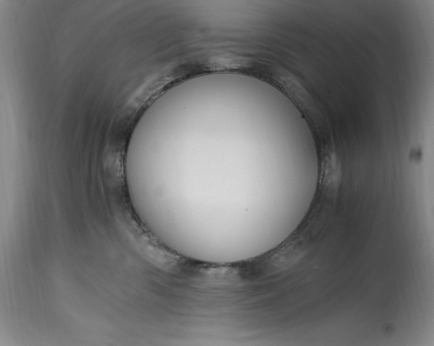 X0000115440426200911181528