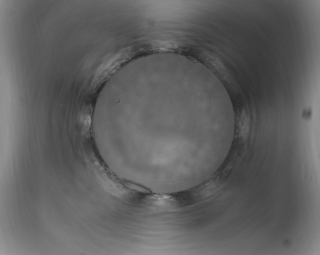 X0000115440427200911181528