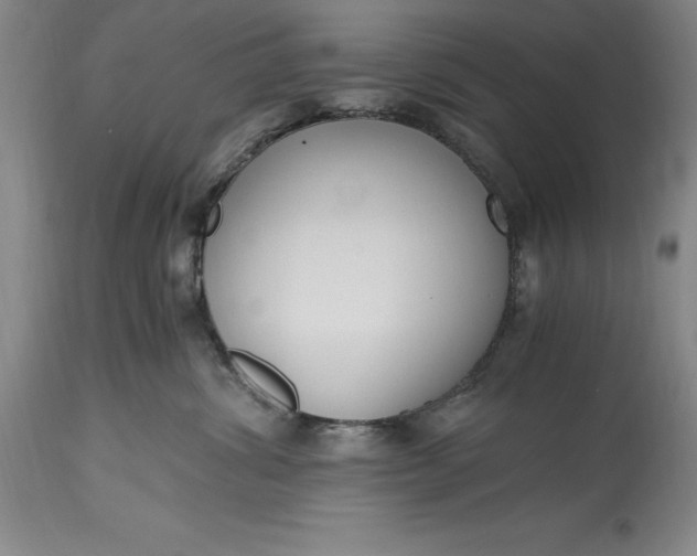 X0000115440428200911181528