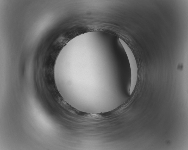 X0000115440429200911181528