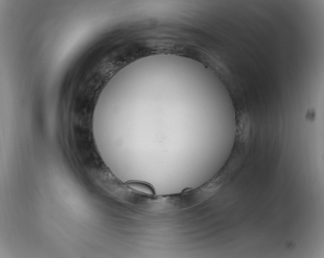 X0000115440430200911181528