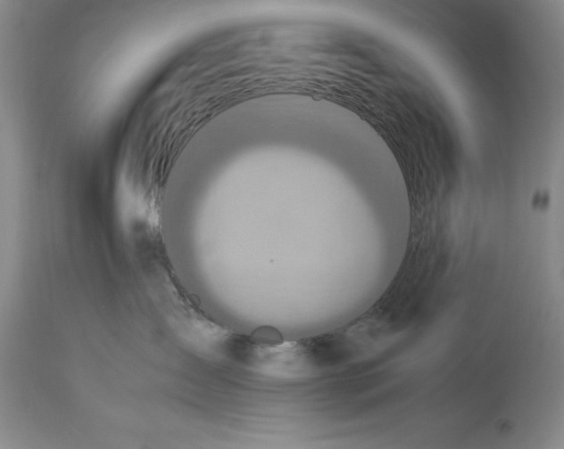 X0000115440431200911181528