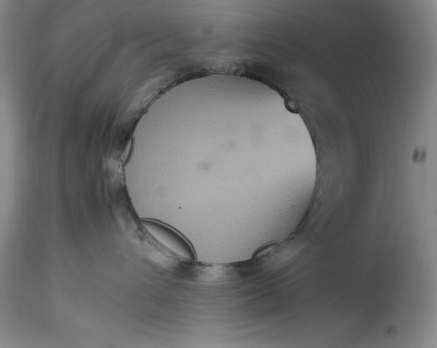 X0000115440432200911181528