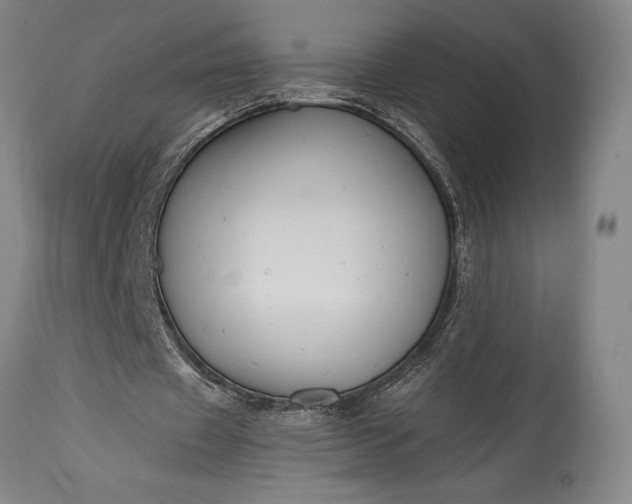 X0000115440433200911181527