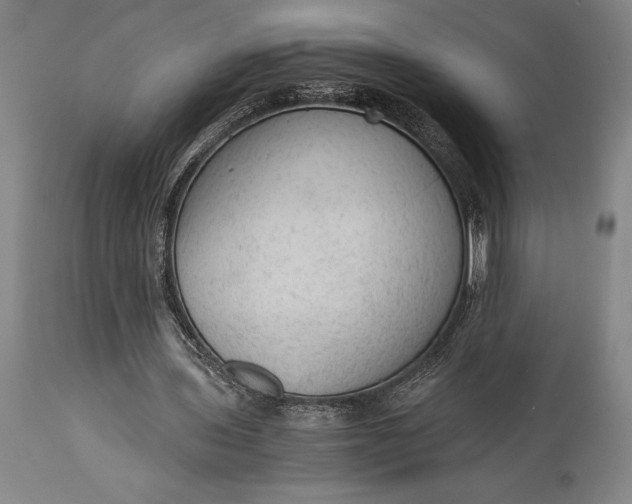 X0000115440435200911181527