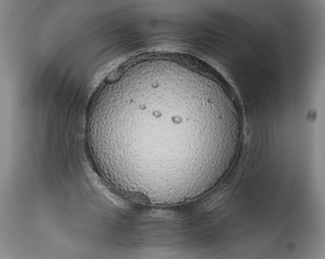 X0000115440437200911181527