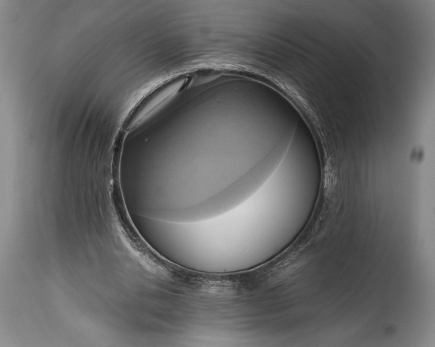 X0000115440438200911181527