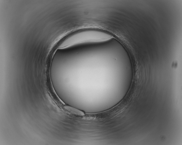 X0000115440440200911181527
