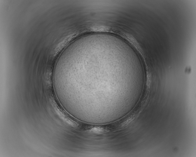 X0000115440441200911181527