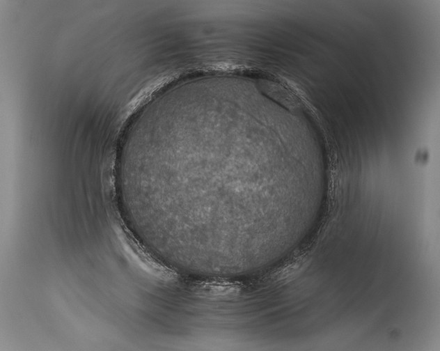 X0000115440443200911181527