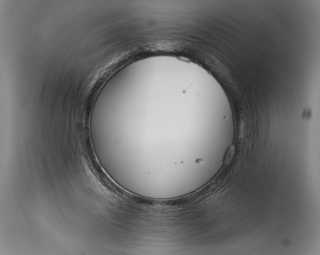X0000115440444200911181527
