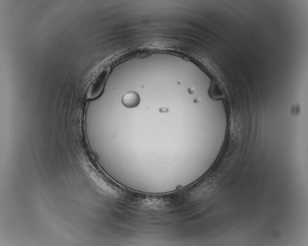 X0000115440445200911181527