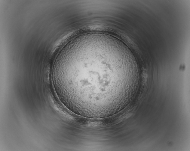 X0000115440446200911181527