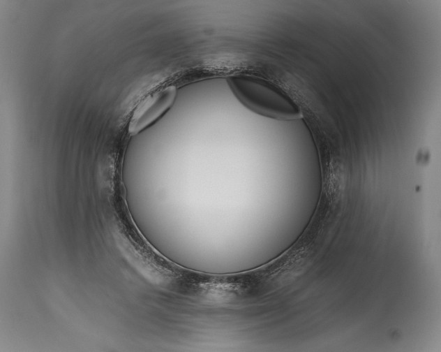 X0000115440448200911181527
