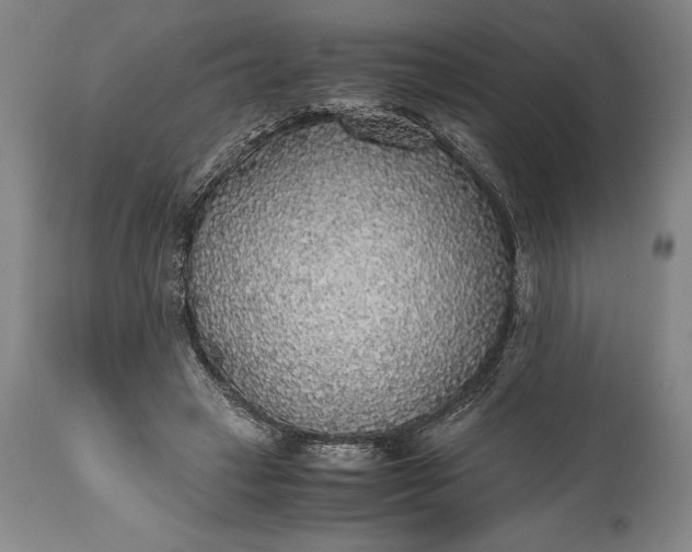 X0000115440449200911181527