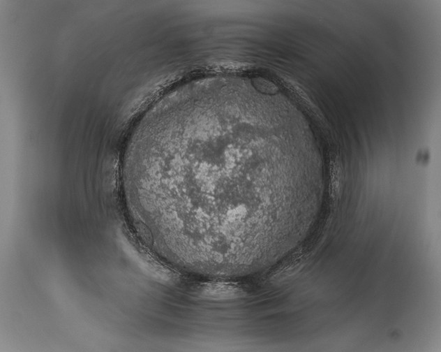 X0000115440451200911181527