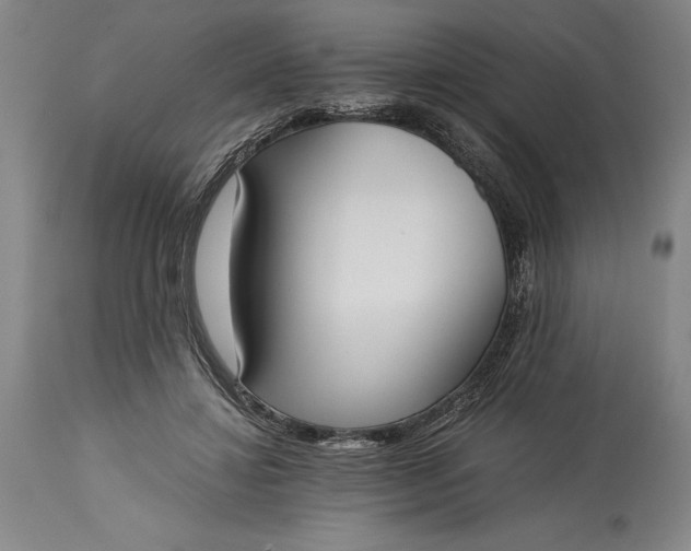 X0000115440452200911181527