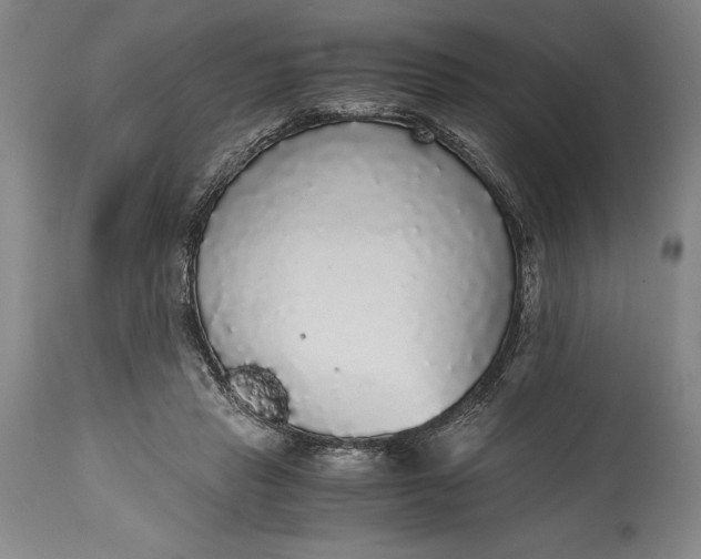 X0000115440453200911181527