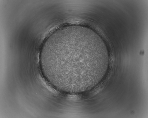 X0000115440454200911181527