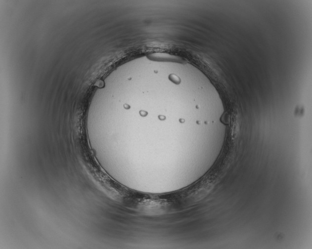 X0000115440455200911181527