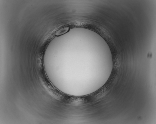 X0000115440456200911181527