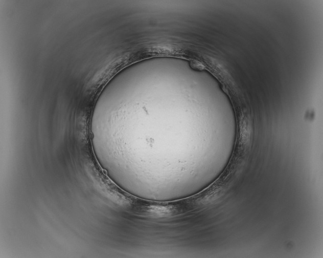 X0000115440457200911181527