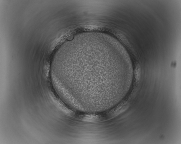 X0000115440458200911181527