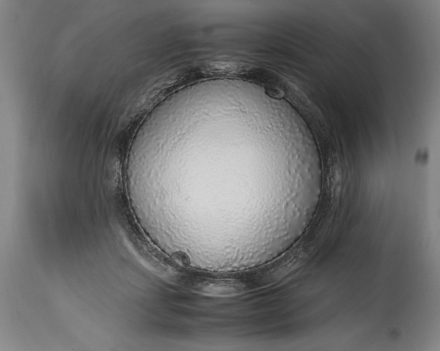 X0000115440459200911181527