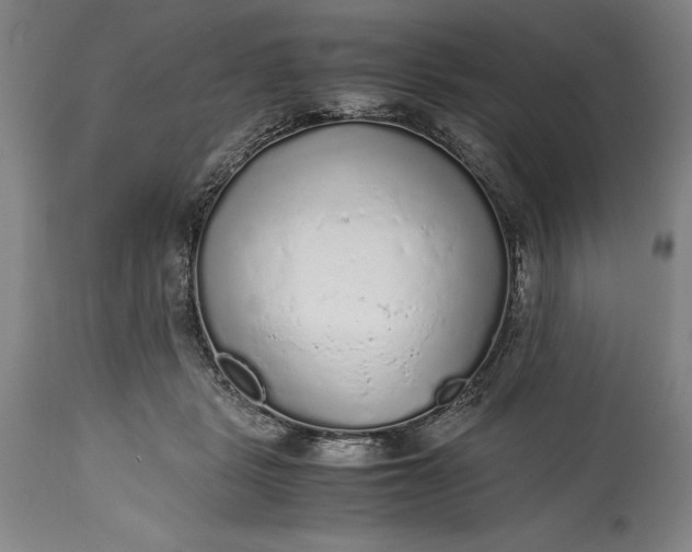 X0000115440461200911181527