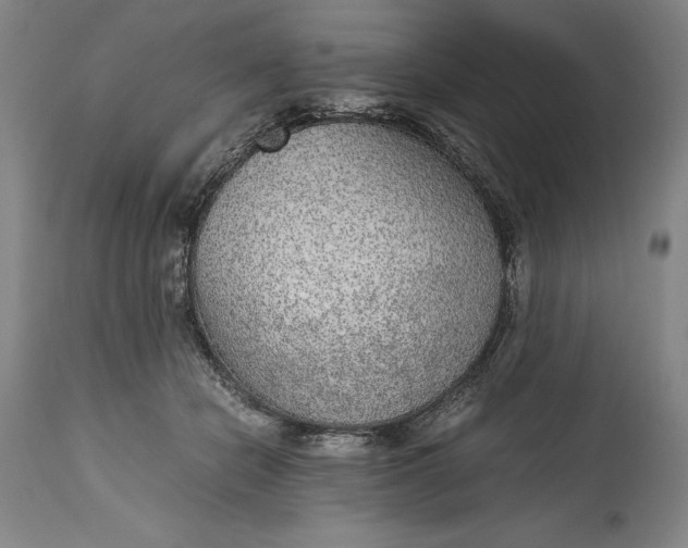 X0000115440462200911181527