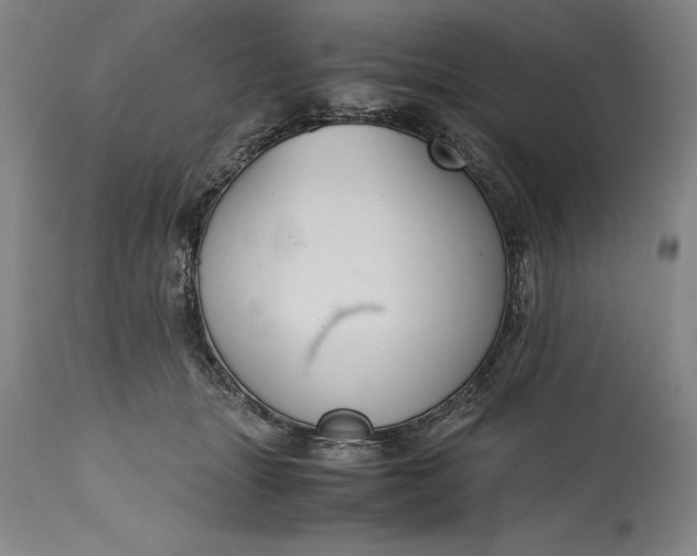 X0000115440463200911181527